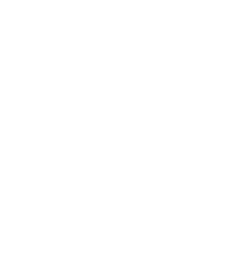 Partiful icon